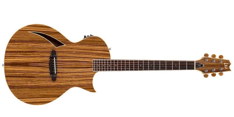 ESP Guitar