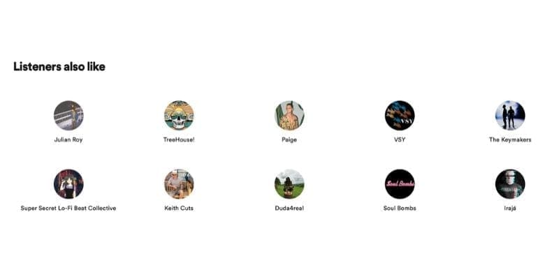 Listeners also like on Spotify For Artists
