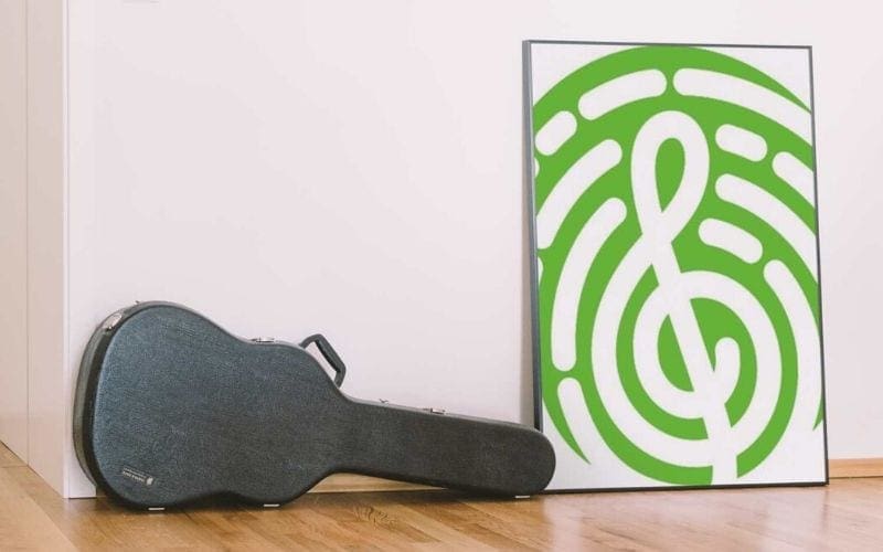 Guitar in case