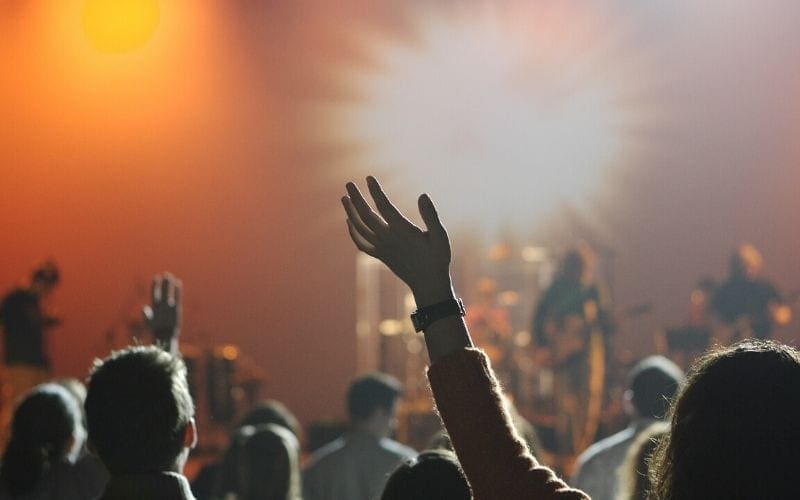 fans audience at a music concert