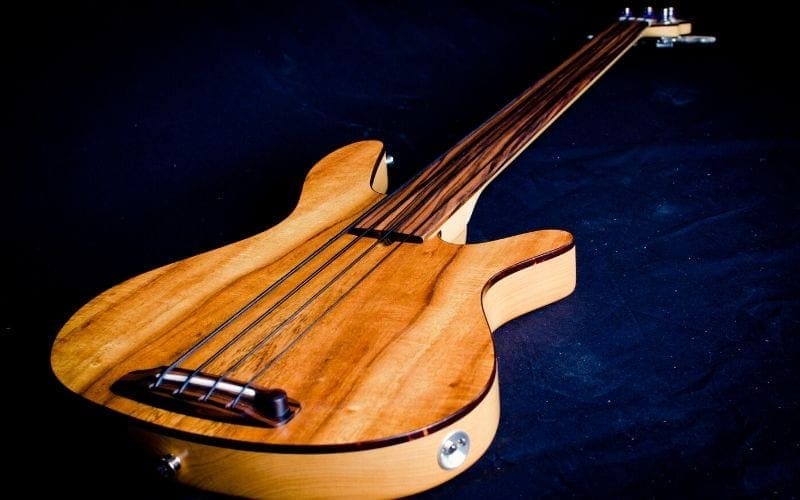 fretless bass guitar