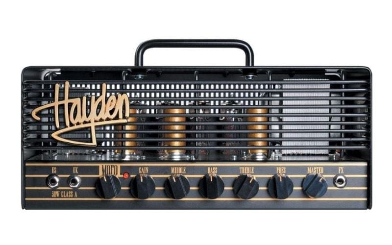 hayden mofo amp