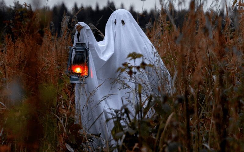 benefits of watching horror movies