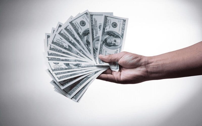 person holding money