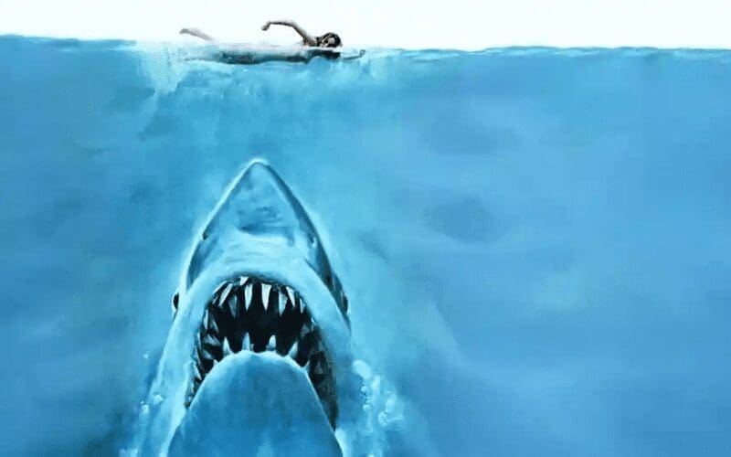 Jaws has one of the best opening scenes in movies
