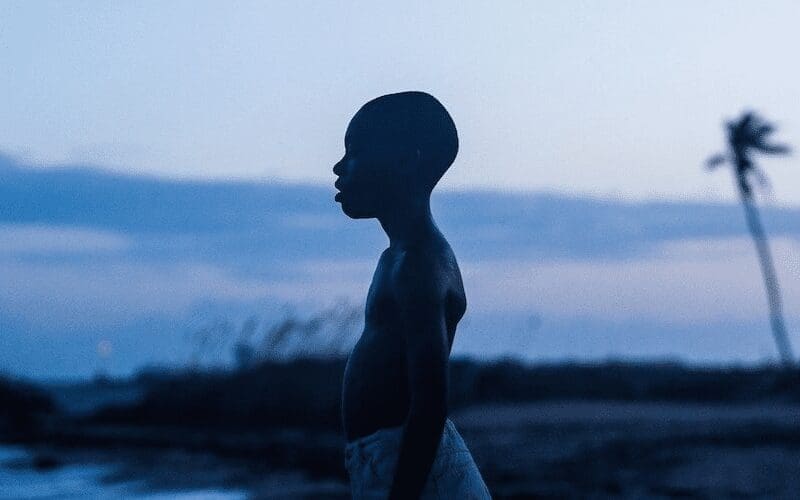 moonlight best cinematography movies