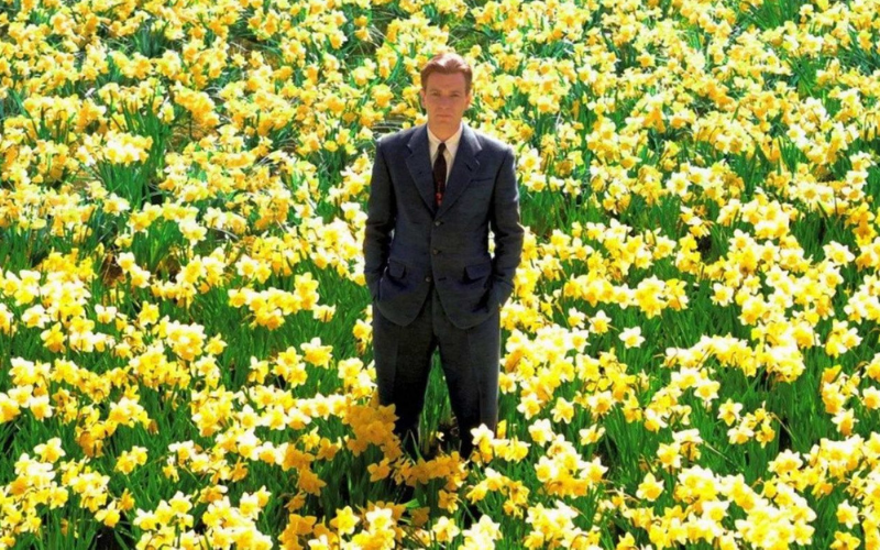big fish flowers