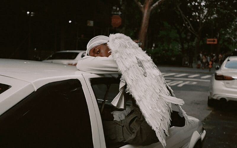 Negro Swan Blood Orange album cover