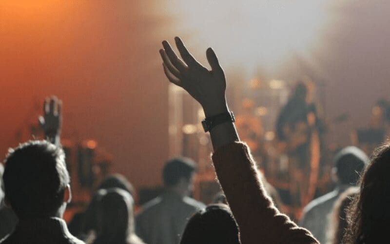 person in the crowd at a gig