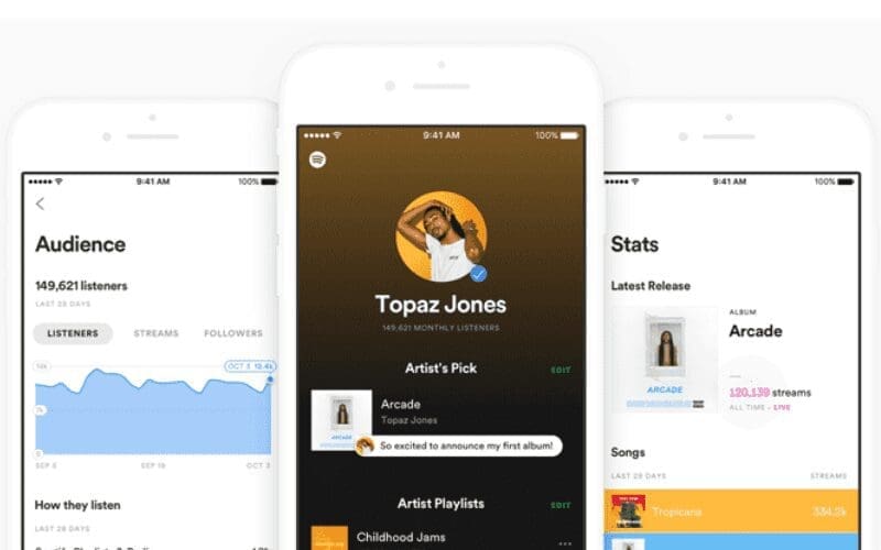 buy spotify plays spotify stats