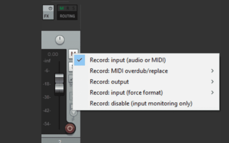 Reaper DAW recording