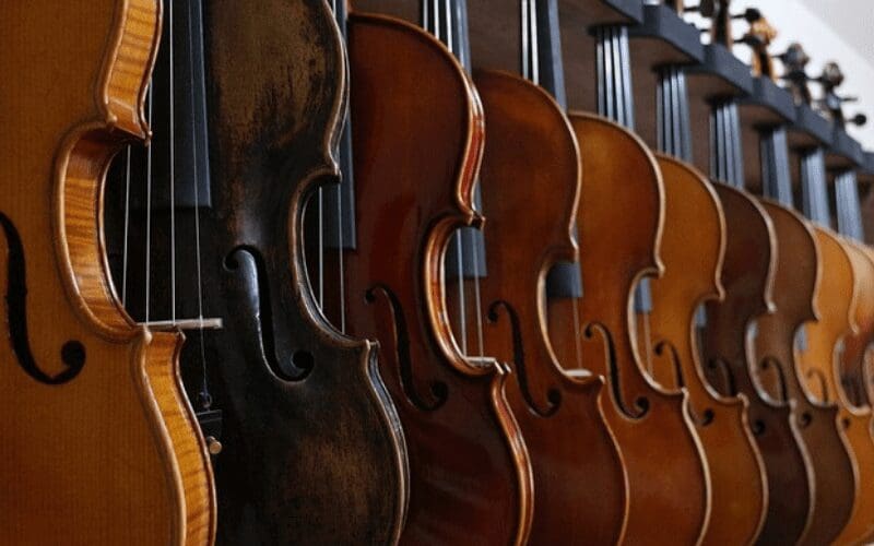 orchestral sting instruments