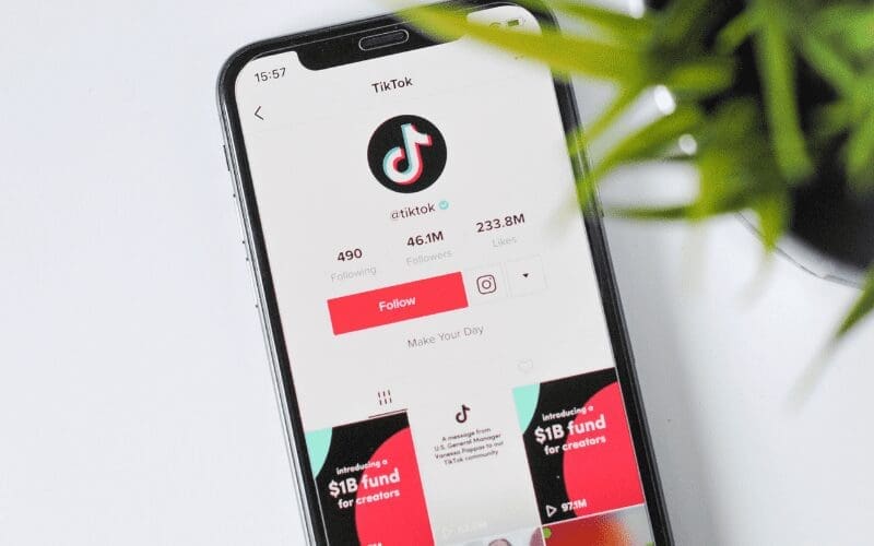 tiktok promotion