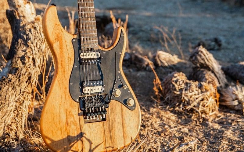 schecter guitar