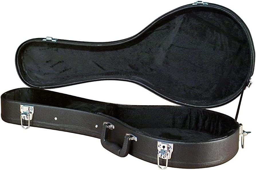 Banjo Case