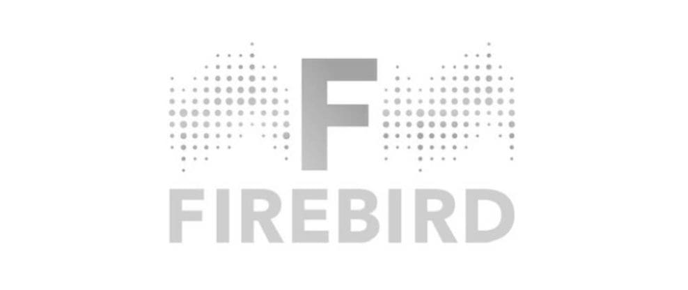 Profiling Firebird Music Label