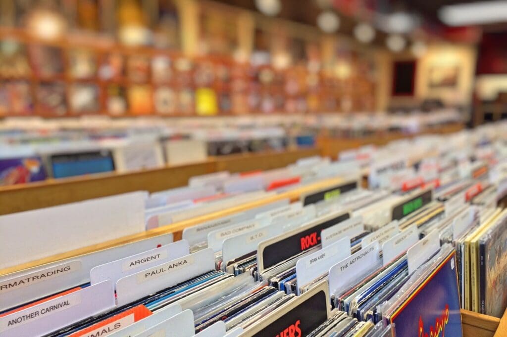Vivyl records category dividers