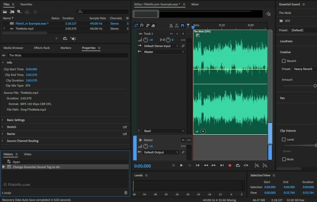 Files in Adobe Audition