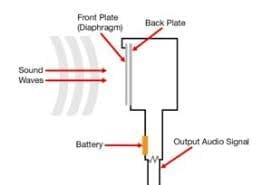 Condenser microphone inside