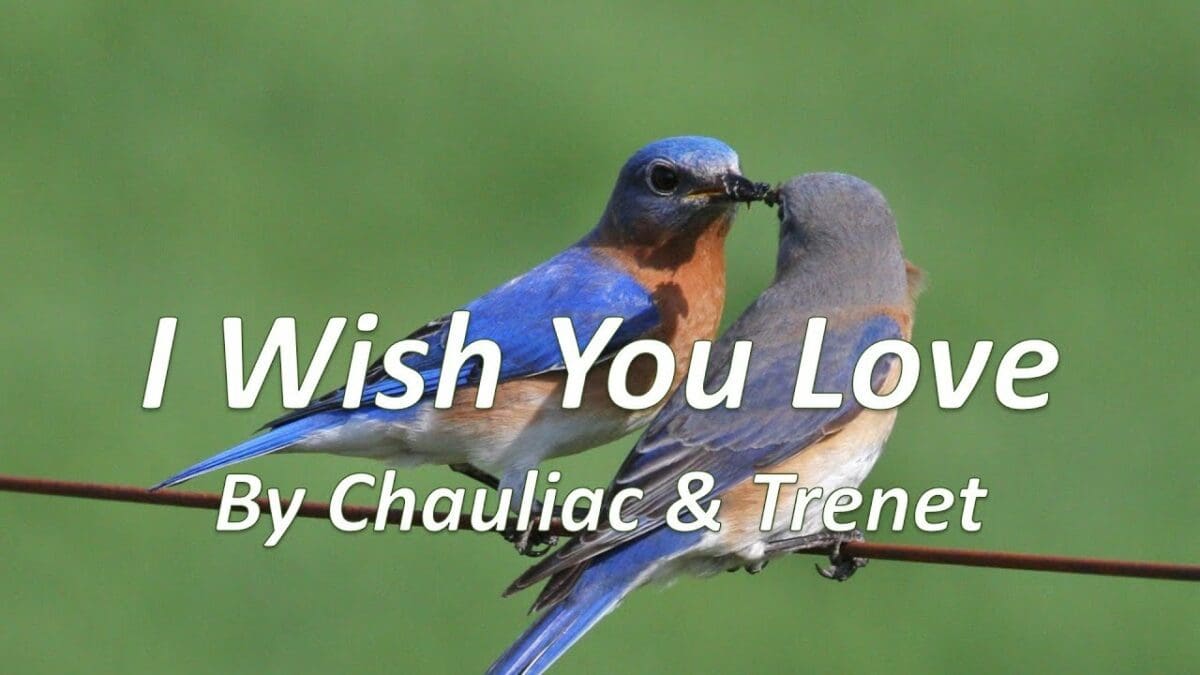 I Wish You Love / central ７インチ Central – I Wish You Love – Vinyl (7