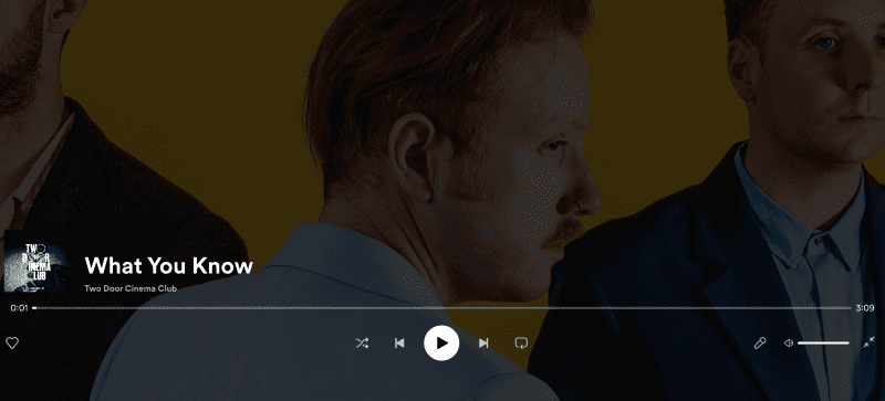 Playback Control