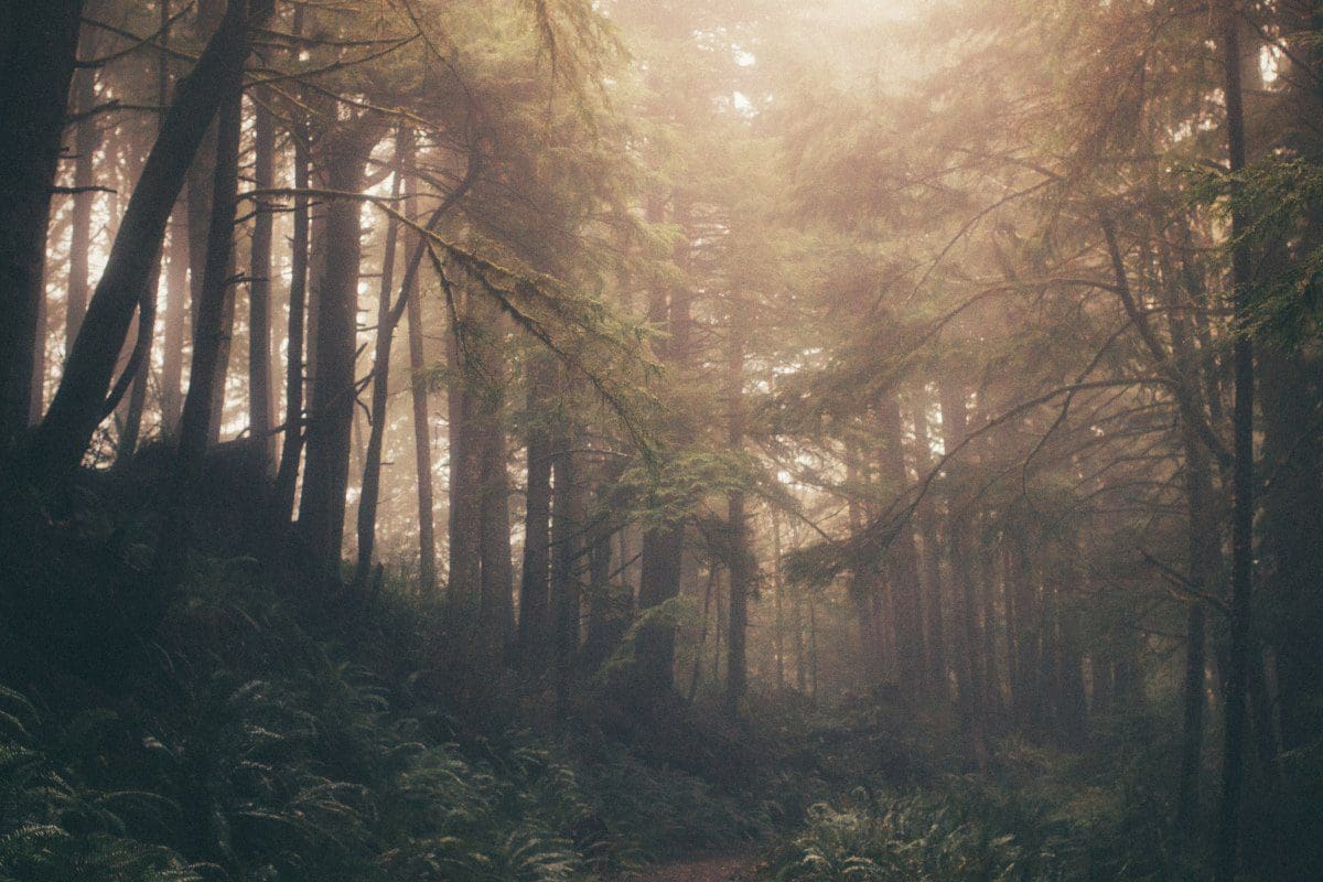 Ambient Music YouTube Videos: Ten of the Best