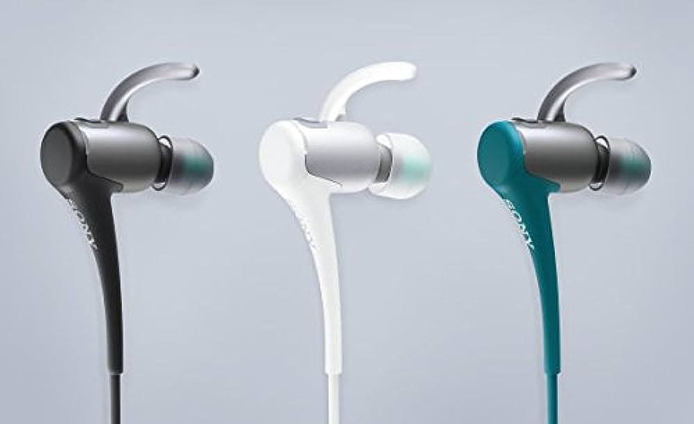 Sony In Ear Monitors